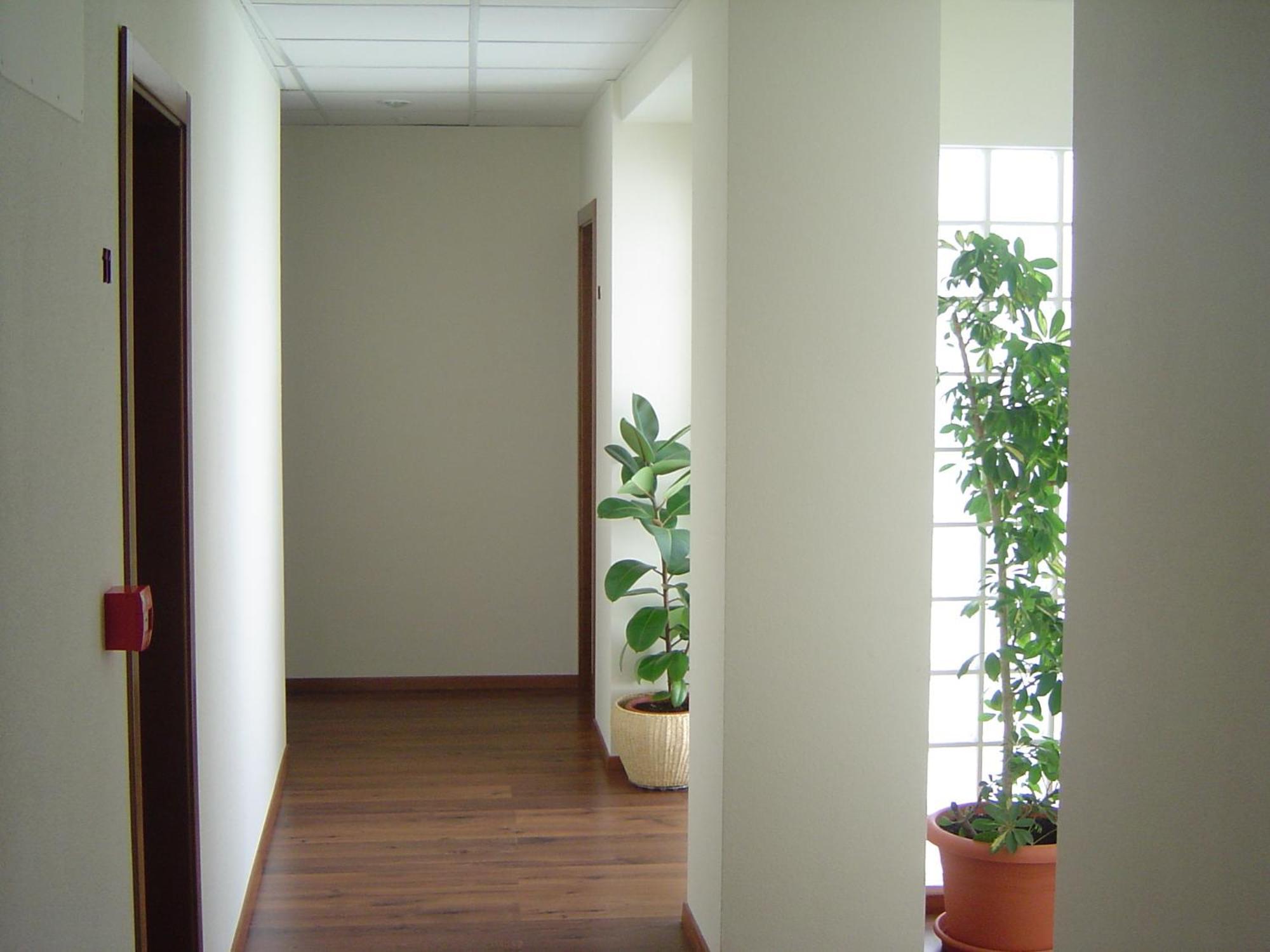 אלמנסה Hostal El Estudio מראה חיצוני תמונה