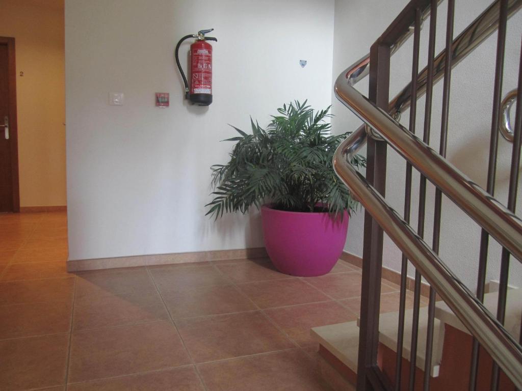 אלמנסה Hostal El Estudio מראה חיצוני תמונה